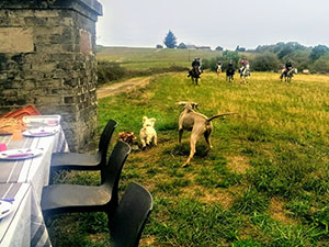Millagues Picnic